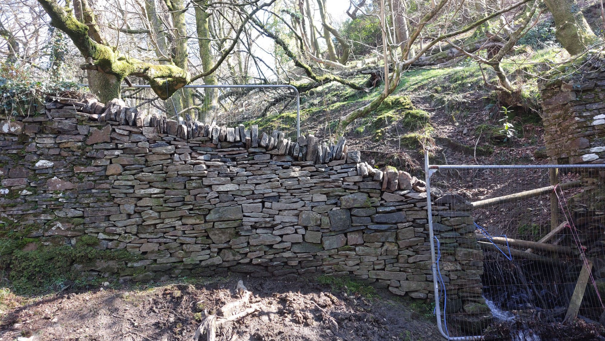 20260319_1313472596298767901661917